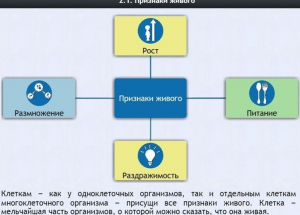 Интерактивные курсы. Биология 5 класс. Базовый - fgospostavki.ru - Вологда