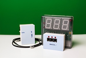 Датчик массы 200 г с независимой индикацией (весы с USB-переходником) - fgospostavki.ru - Вологда