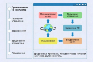 Интерактивные курсы. Информатика 10 класс . Базовый. - fgospostavki.ru - Вологда