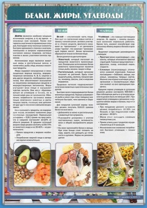 Стенд "Белки. Жиры. Углеводы" - fgospostavki.ru - Вологда