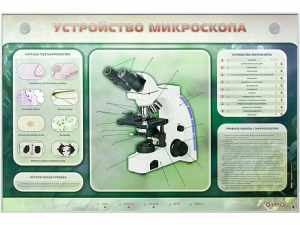 Электрифицированный стенд "Устройство микроскопа и правила работы c ним" - fgospostavki.ru - Вологда