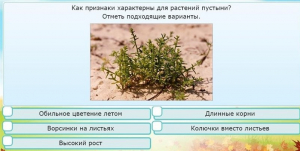 Интерактивные курсы. Окружающий мир 3 класс . Базовый. - fgospostavki.ru - Вологда
