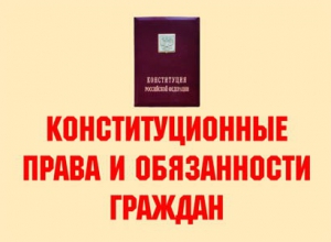 Комплект плакатов "Конституционные права и обязанности граждан" - fgospostavki.ru - Вологда