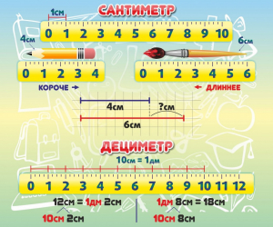 Стенд "Сантиметр" - fgospostavki.ru - Вологда