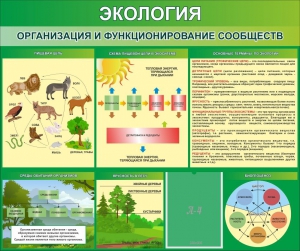 Стенд "Экология. Организация и функционирование сообществ" - fgospostavki.ru - Вологда