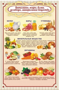 Стенд "Витамины, жиры, белки" - fgospostavki.ru - Вологда