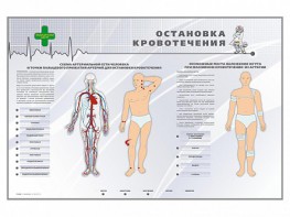 Электрифицированный стенд "Остановка кровотечения" - fgospostavki.ru - Вологда