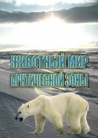 DVD "Животный мир Арктической зоны" - fgospostavki.ru - Вологда
