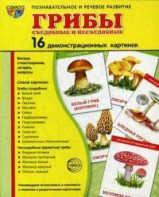 Демонстрационные карточки "Грибы съедобные и не съедобные" - fgospostavki.ru - Вологда