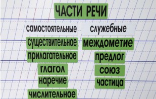 Набор магнитных карточек "Части речи" (фон зелёный) - fgospostavki.ru - Вологда