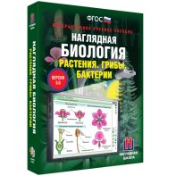 Наглядная биология. 6 класс. Растения. Грибы. Бактерии - fgospostavki.ru - Вологда