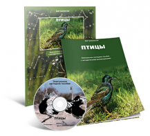 Электронное наглядное пособие «Птицы» - fgospostavki.ru - Вологда