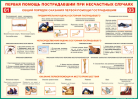 Таблица "Общий порядок оказания первой помощи пострадавшим" (100х140 сантиметров, винил) - fgospostavki.ru - Вологда