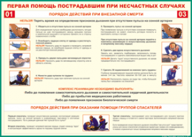 Таблица "Порядок действий при внезапной смерти" (100х140 сантиметров, винил) - fgospostavki.ru - Вологда