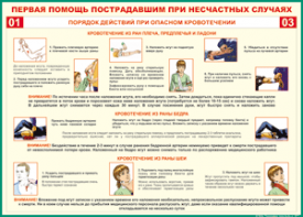 Таблица "Порядок действий при опасном кровотечении" (100х140 сантиметров, винил) - fgospostavki.ru - Вологда