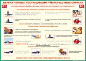 Таблица "Порядок действий при коматозном состоянии пострадавшего" (100х140 сантиметров, винил) - fgospostavki.ru - Вологда