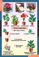 Комплект таблиц. Окружающий мир 1 класс. - fgospostavki.ru - Вологда
