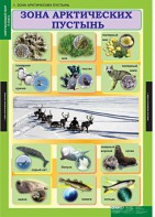Комплект таблиц. Окружающий мир 4 класс. - fgospostavki.ru - Вологда