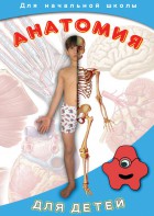 DVD "Анатомия для детей" - fgospostavki.ru - Вологда