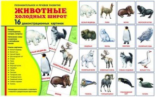 Демонстрационные карточки "Животные холодных широт" - fgospostavki.ru - Вологда