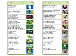 Комплект карточек (10) "Обучающий калейдоскоп. Природа" - fgospostavki.ru - Вологда