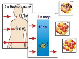 Модель-аппликация "Явление радиоактивности" (ламинированная) - fgospostavki.ru - Вологда