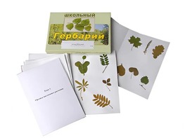 Гербарий "Морфология растений" (6 тем, 30 видов) - fgospostavki.ru - Вологда
