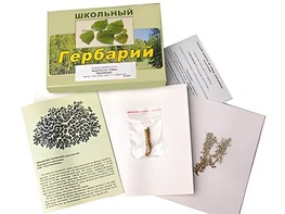 Гербарий "Водоросли. Грибы. Лишайники" (раздаточный) - fgospostavki.ru - Вологда
