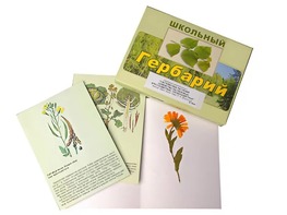 Гербарий "Систематика растений. Семейство Пасленовые. Крестоцветные. Сложноцветные" (раздаточный) - fgospostavki.ru - Вологда