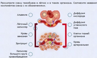 Интерактивные курсы. Биология 9 класс. Расширенный. - fgospostavki.ru - Вологда