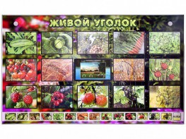 Комплект оборудования "Живой уголок" (растения) с тифлопереводом и сурдокомментариями - fgospostavki.ru - Вологда