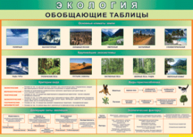 Таблица "Экология. Обобщающие таблицы" (100х140 сантиметров, винил) - fgospostavki.ru - Вологда