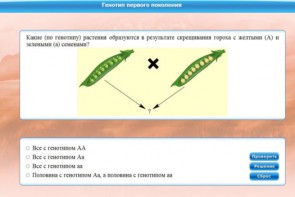Интерактивные курсы. Биология 11 класс. Базовый. - fgospostavki.ru - Вологда