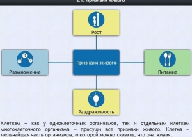 Интерактивные курсы. Биология 5 класс. Базовый - fgospostavki.ru - Вологда