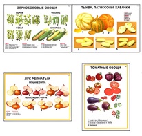 Плакаты ПРОФТЕХ "Ассортимент овощных культур" (12 пл, винил, 70х100) - fgospostavki.ru - Вологда