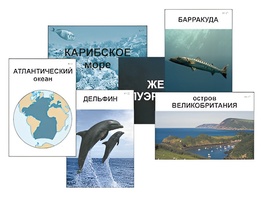 Модель-аппликация "Океаны. Знакомство" (ламинированная) - fgospostavki.ru - Вологда