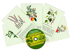 Интерактивный наглядный комплекс "Гербарий "Для начальной школы" - fgospostavki.ru - Вологда