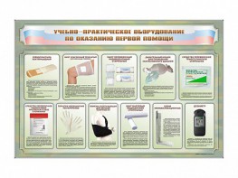 Стенды "Учебно-практическое оборудование по оказанию первой помощи" - fgospostavki.ru - Вологда