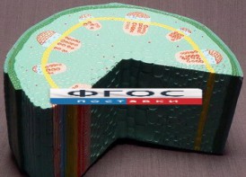 Модель "Стебель растения" - fgospostavki.ru - Вологда