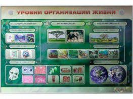 Электрифицированный стенд "Уровни организации жизни" - fgospostavki.ru - Вологда