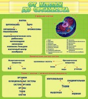 Стенд "От клетки до организма" - fgospostavki.ru - Вологда