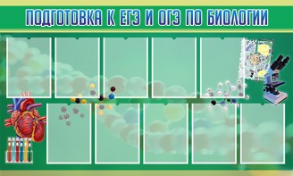 Стенд "Подготовка к ЕГЭ и ОГЭ по биологии" Вариант 2 - fgospostavki.ru - Вологда