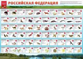 Стенд "Красная книга РФ" - fgospostavki.ru - Вологда