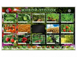 Комплект оборудования "Живой уголок" (растения) - fgospostavki.ru - Вологда