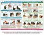 Комплект плакатов "Оказание первой доврачебной медицинской помощи" - fgospostavki.ru - Вологда