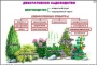 Комплект кодотранспарантов "Культурные растения" - fgospostavki.ru - Вологда