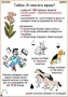 Комплект кодотранспарантов "Ядовитые растения" - fgospostavki.ru - Вологда