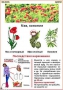 Комплект кодотранспарантов "Ядовитые растения" - fgospostavki.ru - Вологда